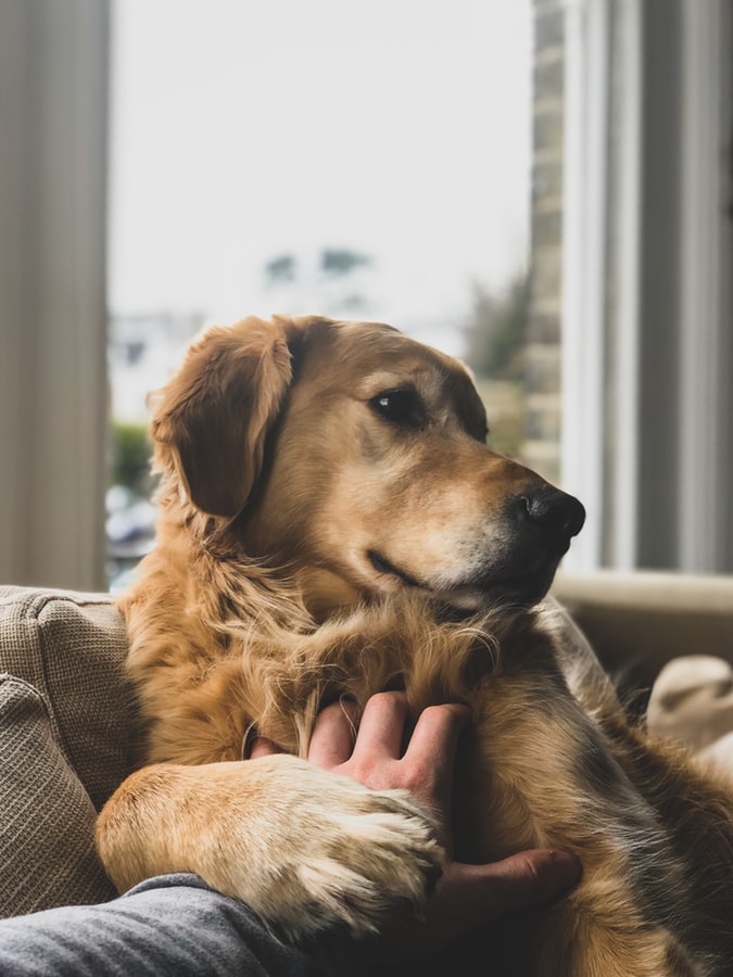 bereavement leave