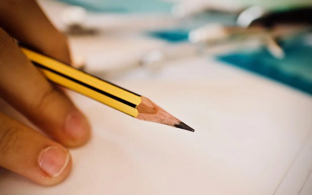Apprenticeship Employment Protection