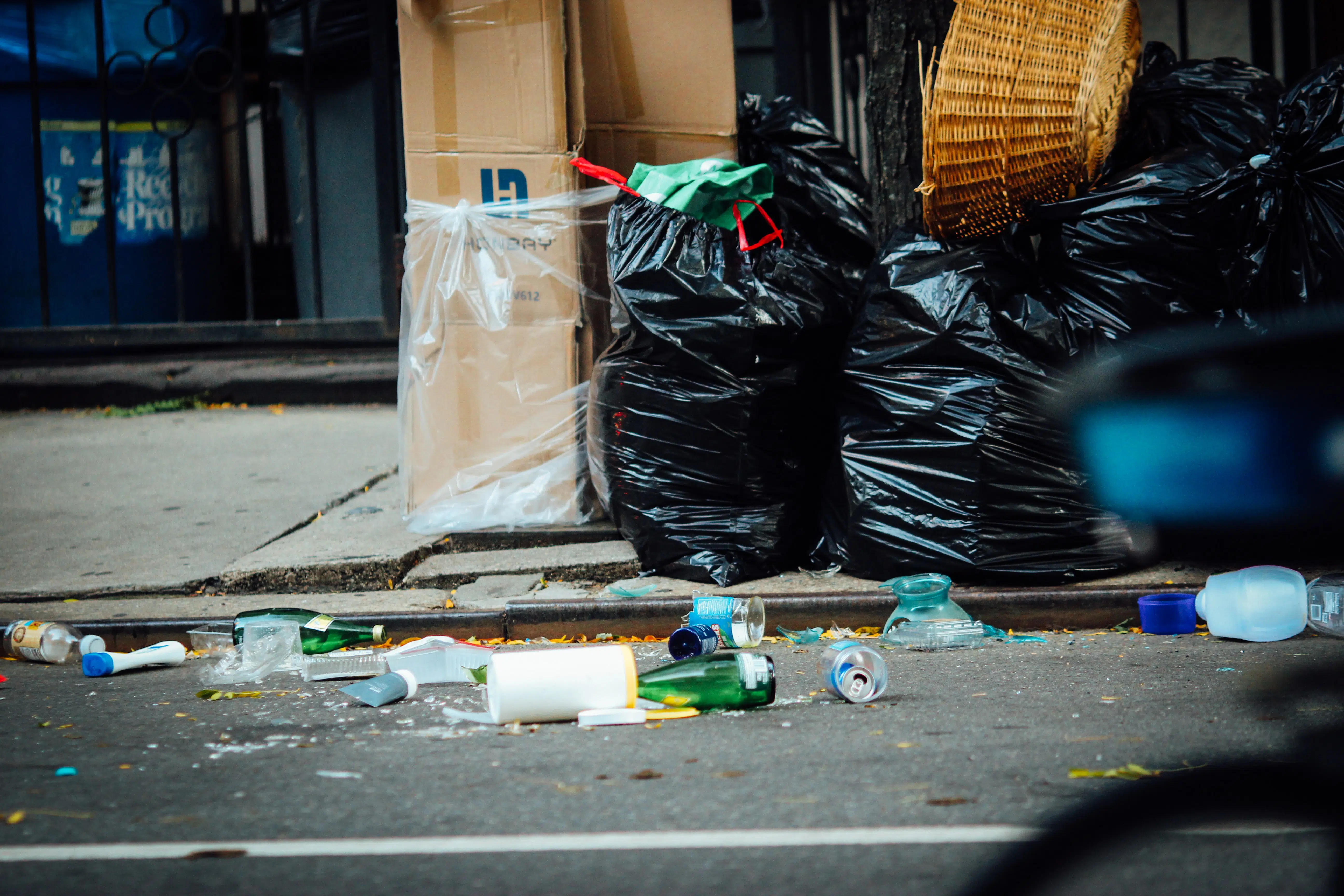 bin strike