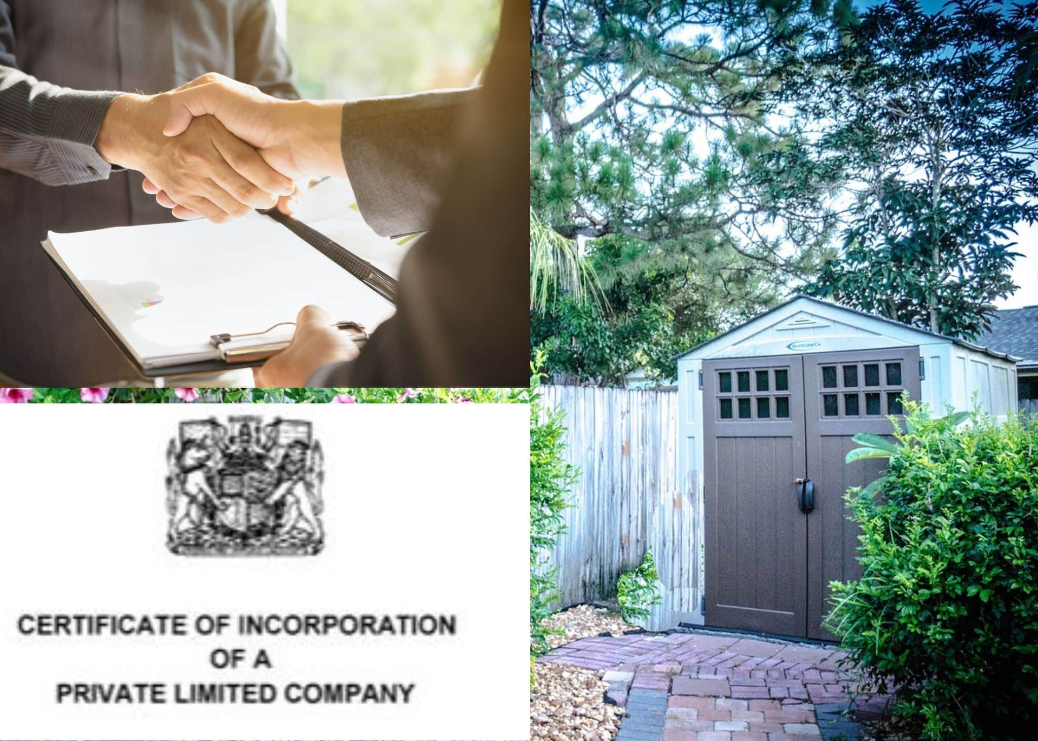 Laura Profile Images (1) limited company